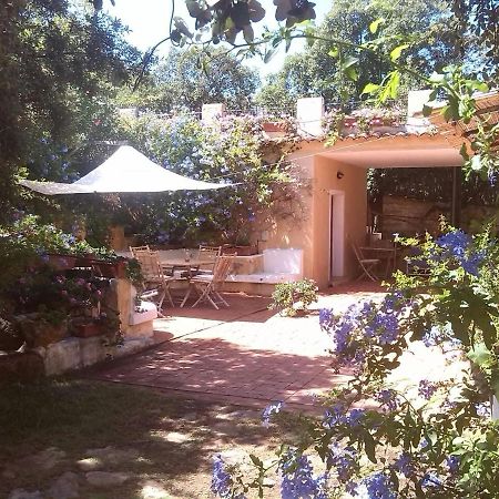 B&B Le Corti Di Aloa 圣帕特雷拉 外观 照片