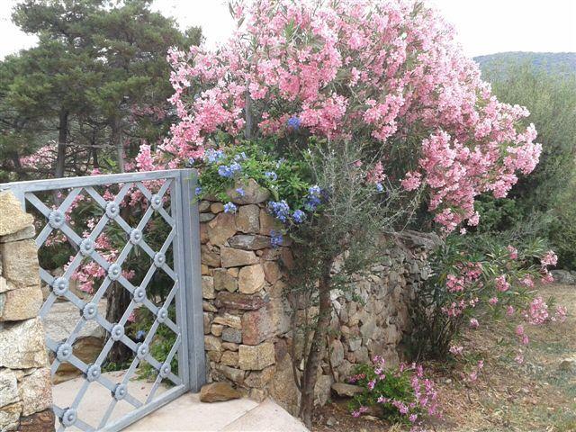 B&B Le Corti Di Aloa 圣帕特雷拉 外观 照片