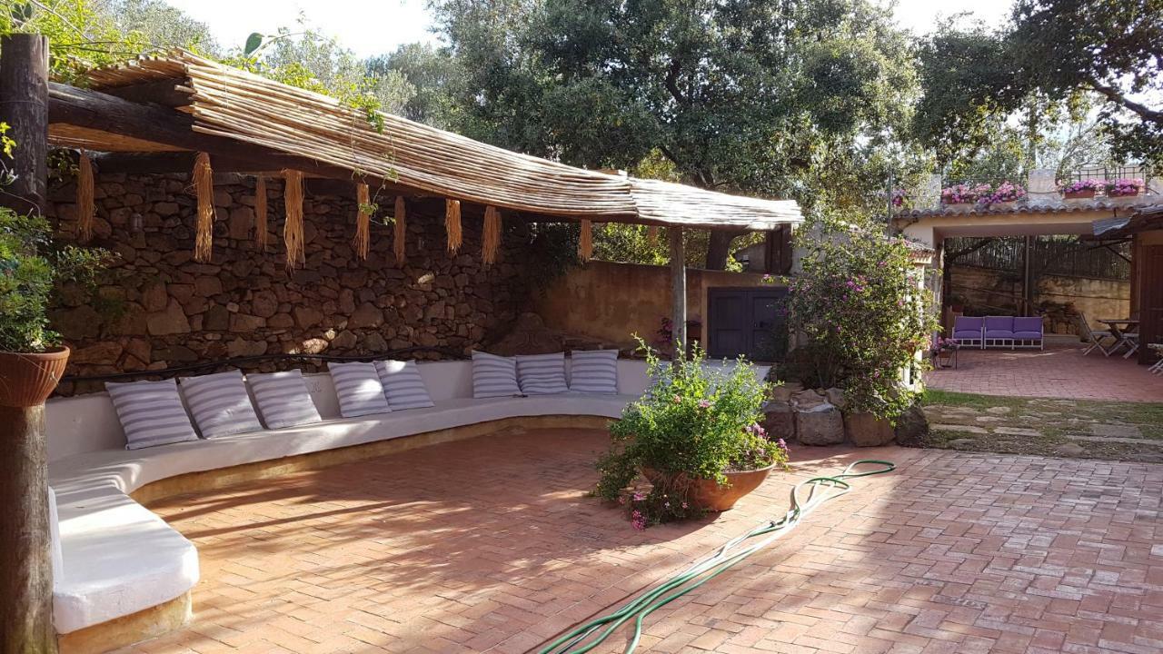 B&B Le Corti Di Aloa 圣帕特雷拉 外观 照片